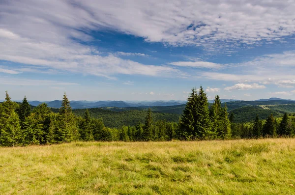 Karpat Dağları Yaremche görünümünde manzara