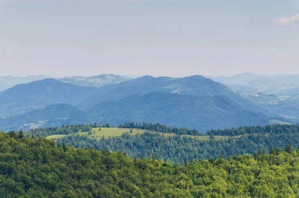 Karpat Dağları Yaremche görünümünde manzara