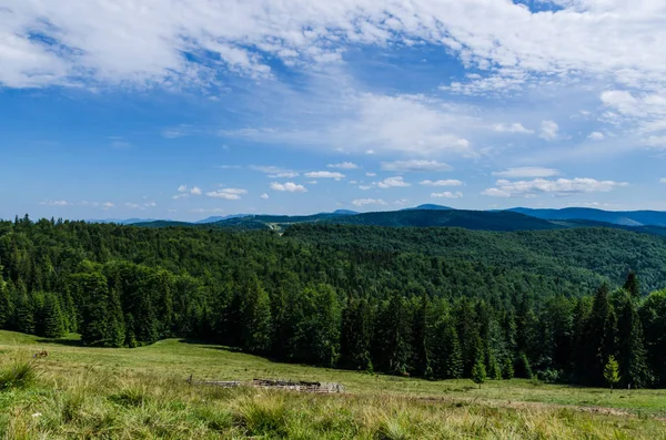 Karpat Dağları Yaremche görünümünde manzara