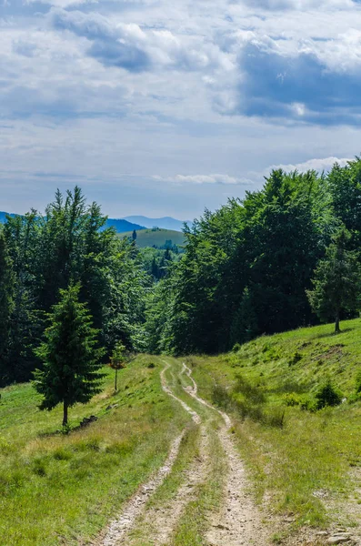 Karpat Dağları Yaremche görünümünde manzara