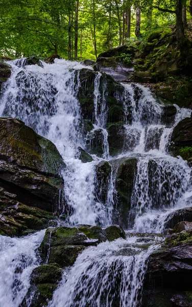 Manzara şelale Shypit uzun pozlama üzerinde Ukrayna Karpat Dağları