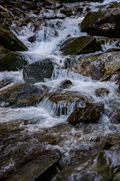 Manzara şelale Shypit uzun pozlama üzerinde Ukrayna Karpat Dağları