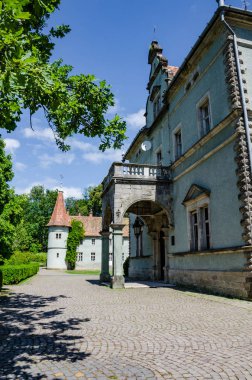 Ukraynalı Karpat Dağları'nda Shenborn Kalesi'nin arka plan