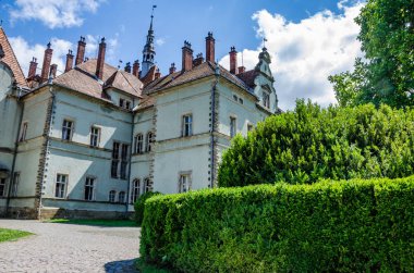 Ukraynalı Karpat Dağları'nda Shenborn Kalesi'nin arka plan