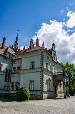 Ukraynalı Karpat Dağları'nda Shenborn Kalesi'nin arka plan