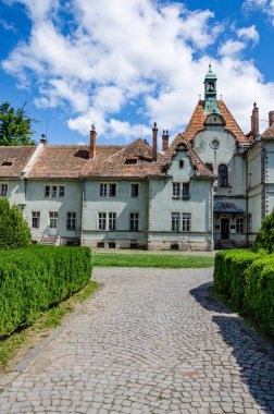 Ukraynalı Karpat Dağları'nda Shenborn Kalesi'nin arka plan