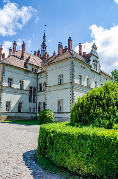 Contexte du château de Shenborn dans les montagnes carpates ukrainiennes — Photo