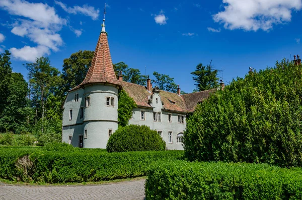 Ukraynalı Karpat Dağları'nda Shenborn Kalesi'nin arka plan