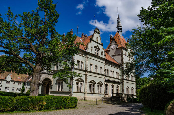 Background of Shenborn Castle in the Ukrainian carpathian mountains