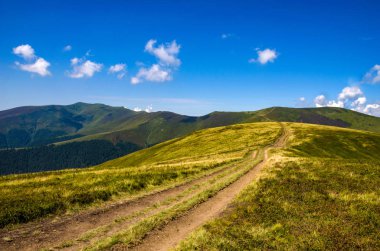 Arka plan manzara Ukrayna Karpat Dağları ile Pylypets Köyü