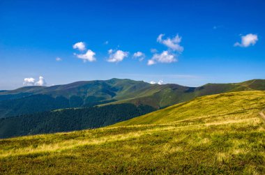 Arka plan manzara Ukrayna Karpat Dağları ile Pylypets Köyü