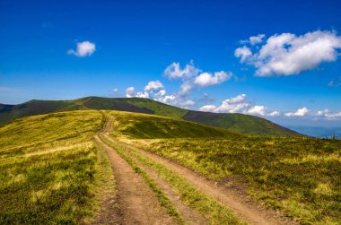 Arka plan manzara Ukrayna Karpat Dağları ile Pylypets Köyü