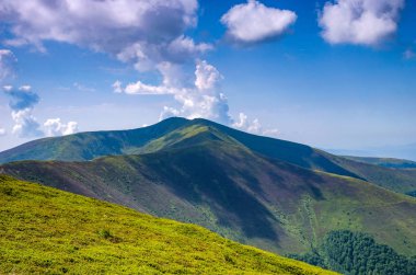 Arka plan manzara Ukrayna Karpat Dağları ile Pylypets Köyü