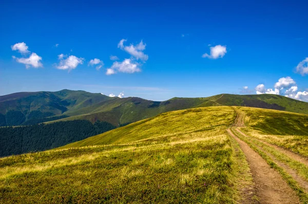 Pozadí krajina s ukrajinské Karpaty v obci Pylypec — Stock fotografie