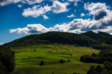 Arka plan manzara Ukrayna Karpat Dağları ile Pylypets Köyü