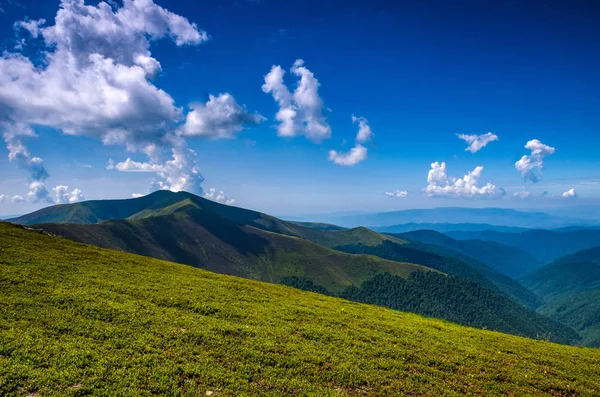 Arka plan manzara Ukrayna Karpat Dağları ile Pylypets Köyü