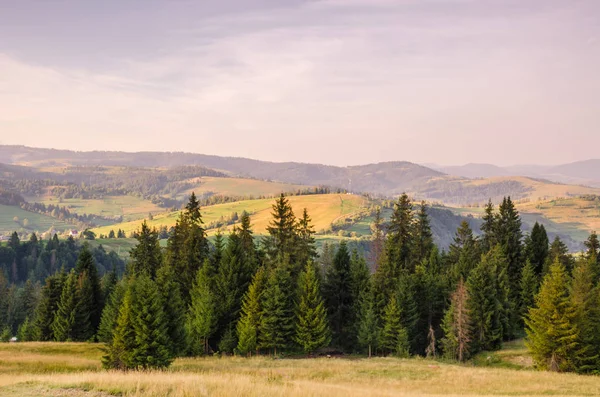 Contexte des Carparhian Mountains pendant le coucher du soleil dans les Pylypets — Photo