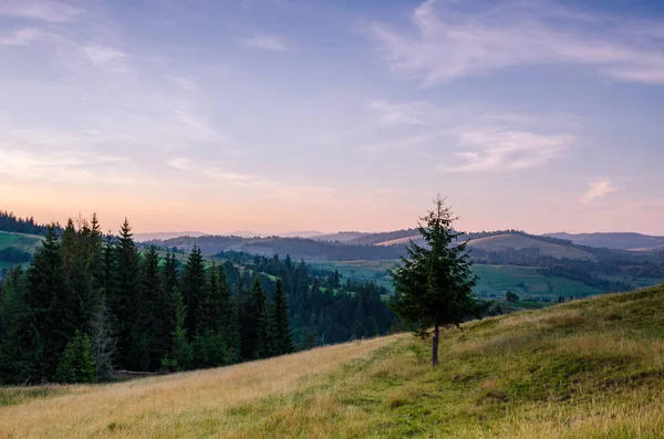 Pozadí Carparhian hor během západu slunce v Pylypec — Stock fotografie