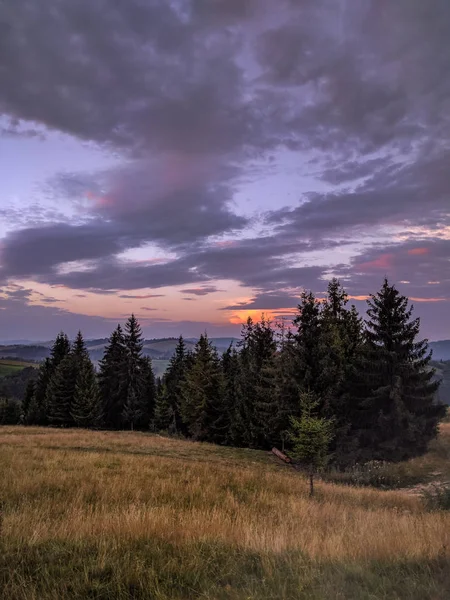 Carparhian Dağları Pylypets günbatımında sırasında arka plan