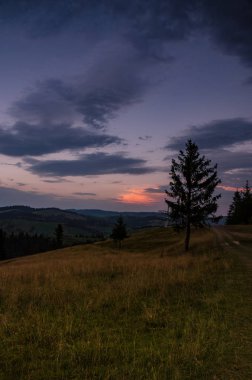 Carparhian Dağları Pylypets günbatımında sırasında arka plan