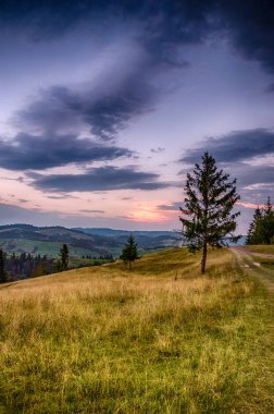 Gün batımı sırasında arka plan ile Ukrayna Karpat Dağları