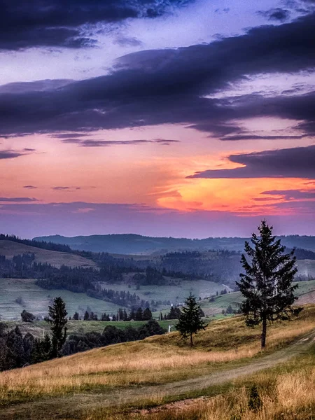 Gün batımı sırasında arka plan ile Ukrayna Karpat Dağları