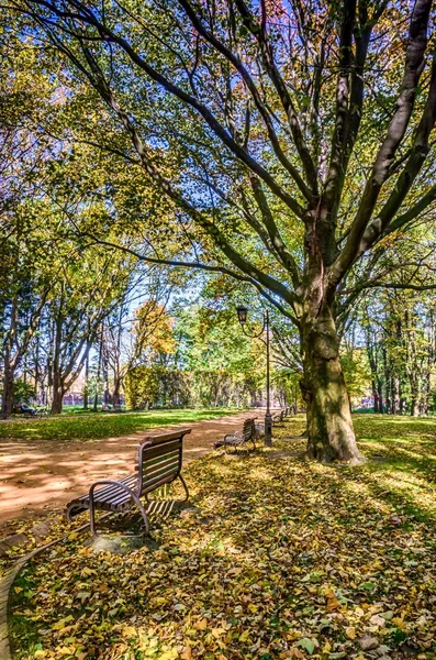 Az őszi időszakban Lviv-Városliget — Stock Fotó