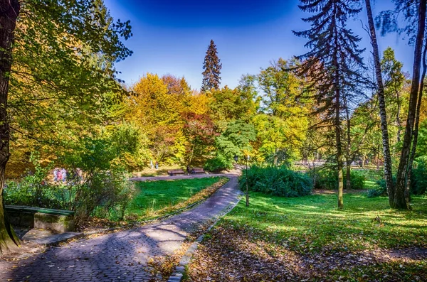Lviv Şehir Parkı sonbahar döneminde