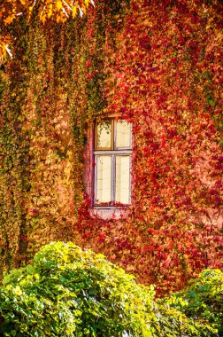 Arka planda dağlar ile sonbahar sezon fotoğrafları