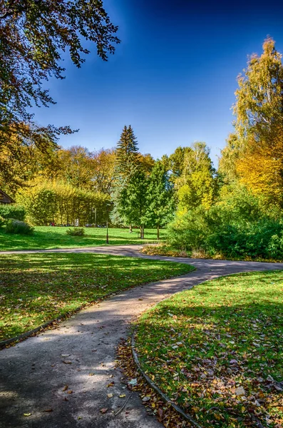 Lviv Şehir Parkı sonbahar döneminde