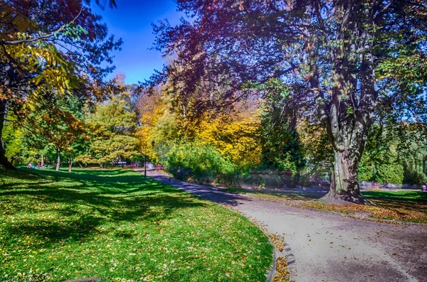 Lviv Şehir Parkı sonbahar döneminde