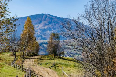 Karpat Dağları'nda sonbahar sezon