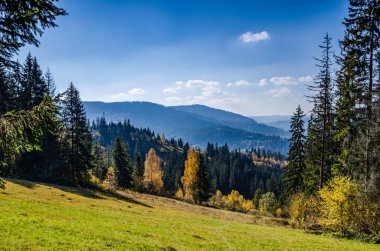 Karpat Dağları'nda sonbahar sezon