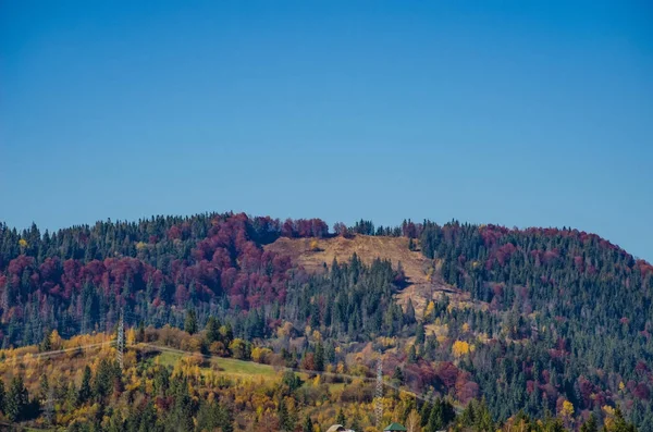 Karpat Dağları'nda sonbahar sezon — Stok fotoğraf