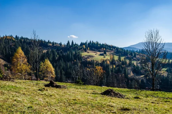 Herbstzeit in den Karpaten — Stockfoto