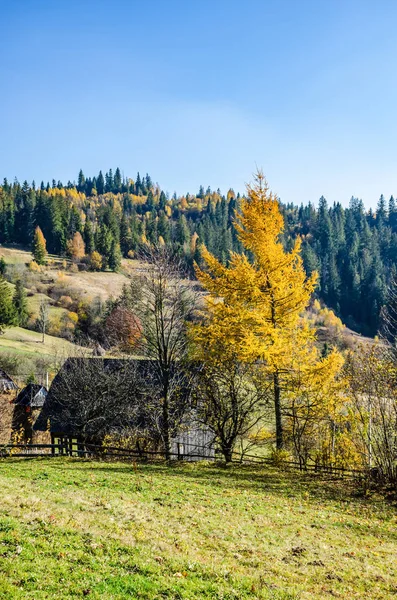 Herbstzeit in den Karpaten — Stockfoto