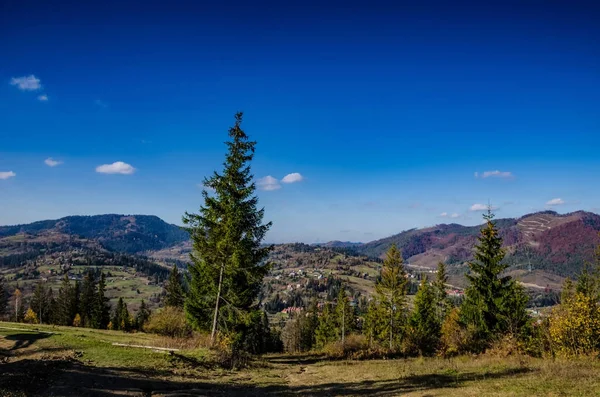 Temporada de outono nas Montanhas Cárpatas — Fotografia de Stock