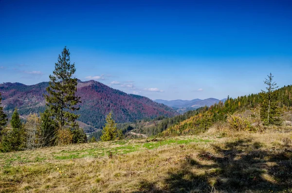 Podzimní sezóna v Karpatských horách — Stock fotografie