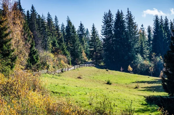 Sezon jesień w Karpatach — Zdjęcie stockowe