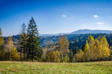 Karpat Dağları'nda sonbahar sezon
