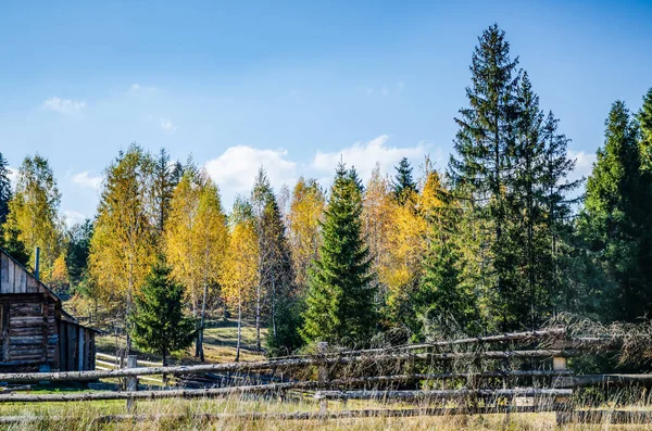 Herbstzeit in den Karpaten — Stockfoto