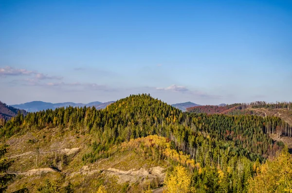 Karpat Dağları'nda sonbahar sezon — Stok fotoğraf