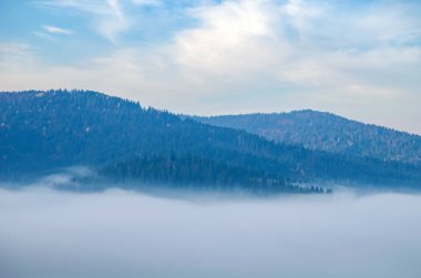 Sis içinde Ukrayna Karpat Dağları ile sonbahar sezon