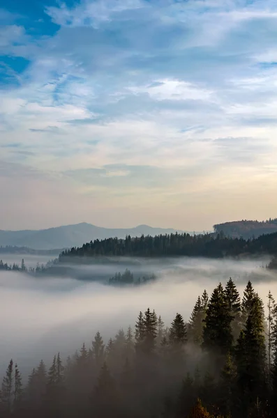 Época de outono com nevoeiro nas montanhas dos Cárpatos ucranianos — Fotografia de Stock