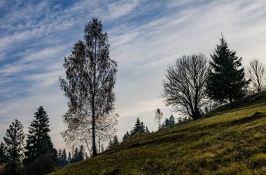 Karpat Dağları sabah sis