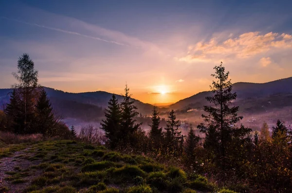 Nevel ochtend in de Karpaten — Stockfoto