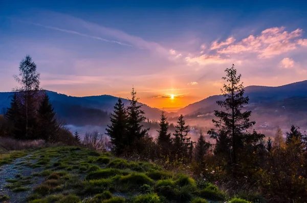 Mist morning in the Carpathian Mountains — Stock Photo, Image