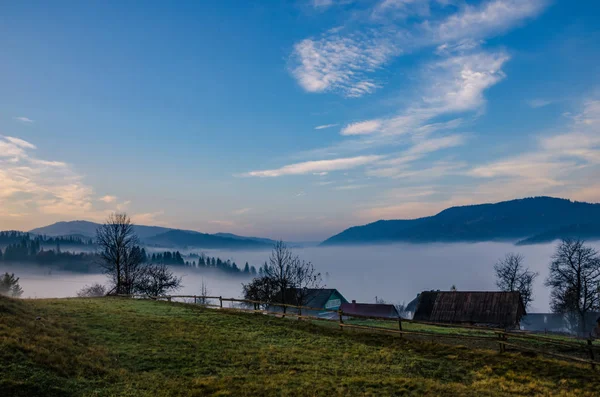 Tåge morgen i Karpaterne - Stock-foto