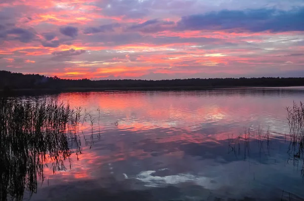 Landscape Lake Summer Season Sunset — Stock Photo, Image
