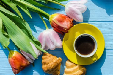 Arka plan bahar lale çiçekleri kapatın